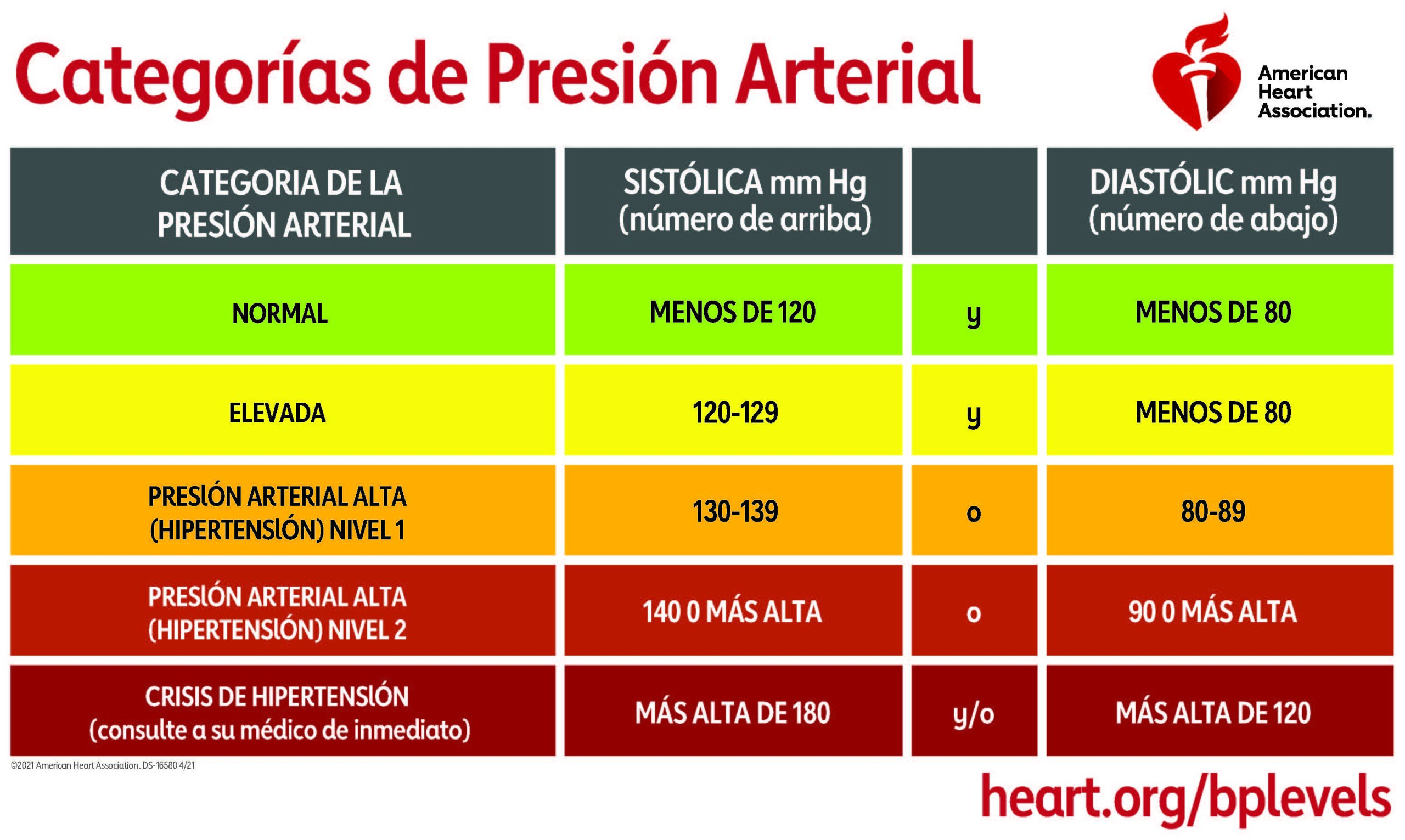 Vista previa del PDF